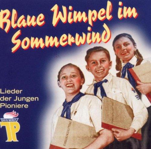 Blaue Wimpel im Sommerwind