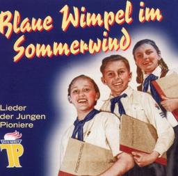 Blaue Wimpel im Sommerwind