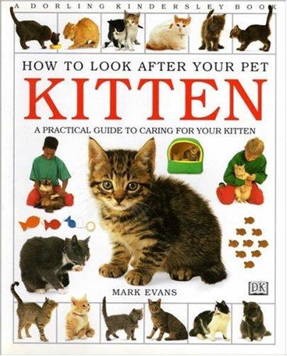 Kitten (How to Look After Your Pet S.)