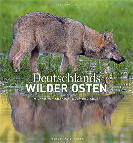 Bildband: Deutschlands wilder Osten. Im Land von Kranich, Wolf und Adler. Faszinierende Porträts wilder Tiere in freier Wildbahn. Mit einzigartigen Fotos sehr seltener, fast ausgestorbener Arten.