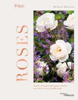 Roses : guide d'inspiration pour choisir ses roses et en prendre soin