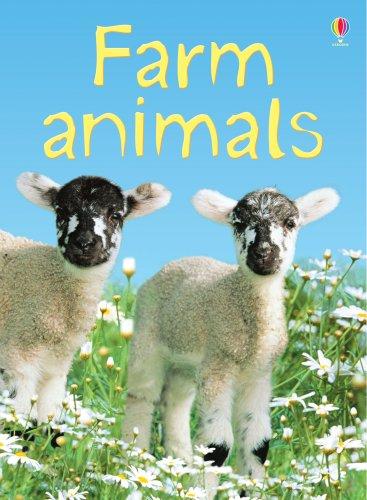 Farm Animals (Beginners)