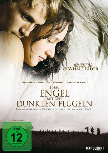 Der Engel mit den dunklen Flügeln