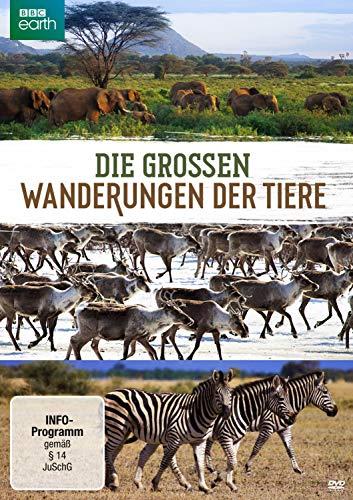 Die großen Wanderungen der Tiere