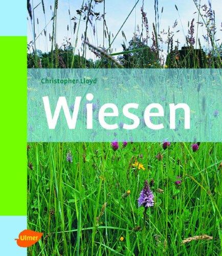 Wiesen