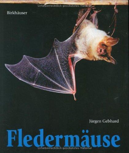 Fledermäuse