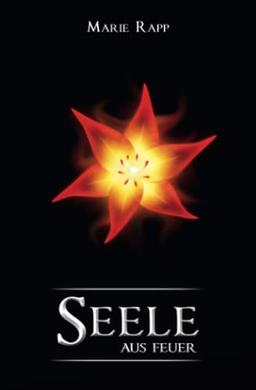 Seele aus Feuer (Seelen-Saga, Band 2)