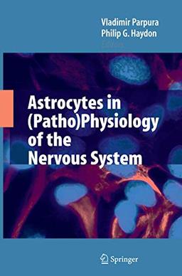 Astrocytes in (Patho)Physiology of the Nervous System