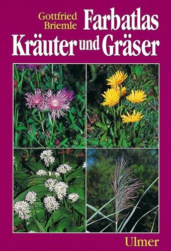 Farbatlas Kräuter und Gräser in Feld und Wald