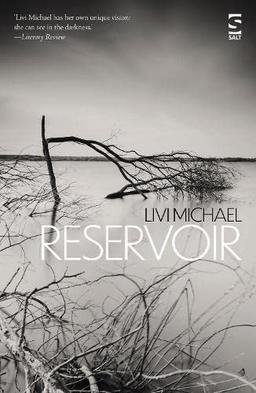 Reservoir (Salt Modern Fiction)