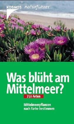 Was blüht am Mittelmeer?