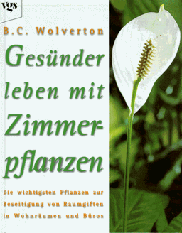 Gesünder leben mit Zimmerpflanzen: Die wichtigsten Pflanzen zur Beseitigung von Raumgiften in Wohnräumen und Büros