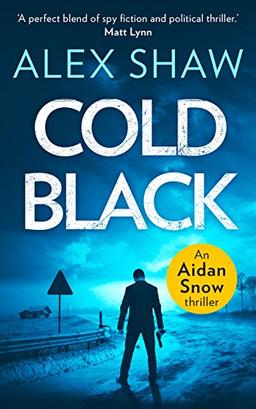 Cold Black (An Aidan Snow SAS Thriller, Band 2)