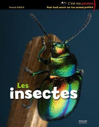 Les insectes