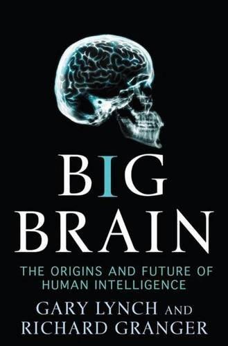 Big Brain: The Origins and Future of Human Intelligence: The Future of Human Intelligence