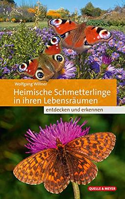 Heimische Schmetterlinge in ihren Lebensräumen: entdecken und erkennen