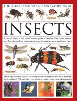 Complete Illustrated World Encyclopedia of Insects: A Natural History and Identification Guide to Beetles, Flies, Bees, Wasps, Mayflies, Dragonflies, Cockroaches, Mantids, Earwigs, Ants, and Many More