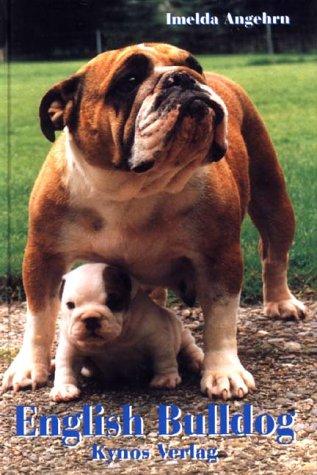 English Bulldog