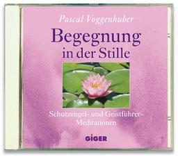 Begegnung in der Stille: Schutzengel- und Geistführer Meditationen