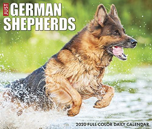 Just German Shepherds 2020 Box Calendar (Dog Breed Calendar)