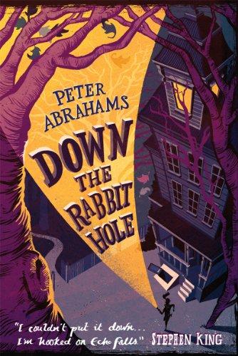 Down the Rabbit Hole (Echo Falls Mystery 1, Band 1)