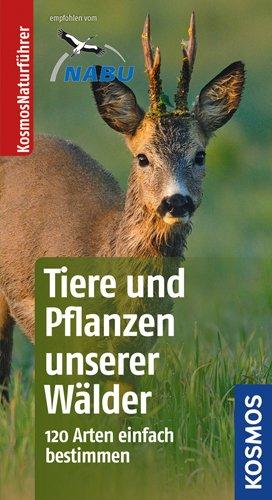 Tiere und Pflanzen unserer Wälder: 120 Arten einfach bestimmen