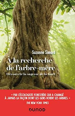 A la recherche de l'arbre-mère : découvrir la sagesse de la forêt