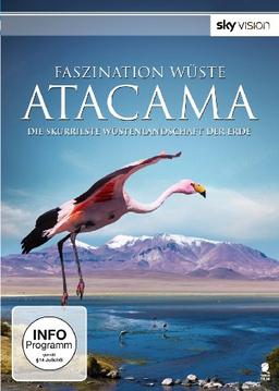 Faszination Wüste - Atacama: Die skurrilste Wüstenlandschaft der Erde (SKY VISION)