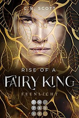 Rise of a Fairy King. Feenlicht: Romantasy über eine verbotene Liebe, die die Grenzen zwischen der Menschenwelt und dem Feenreich überwinden muss