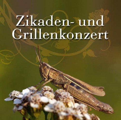 Zikaden und Grillenkonzert