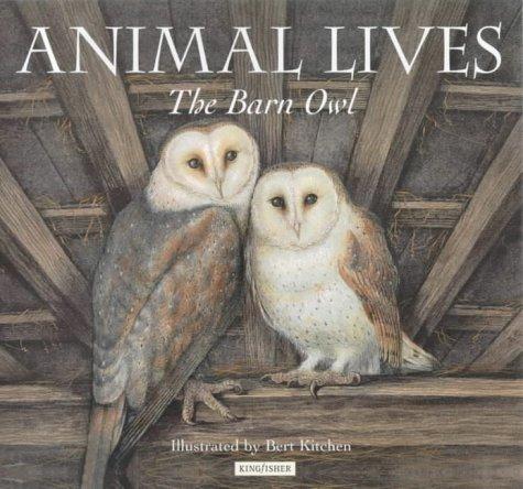 Barn Owl (Animal Lives)