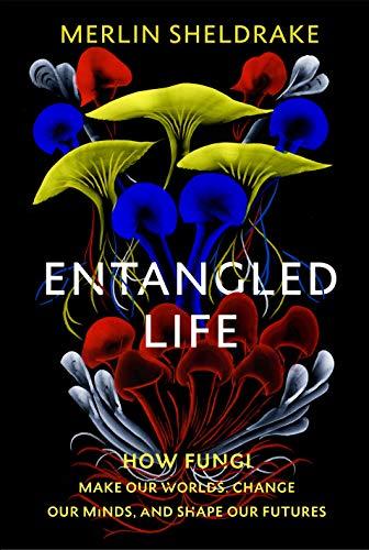 Entangled Life: How Fungi Make Our Worlds, Change Our Minds and Shape Our Futures