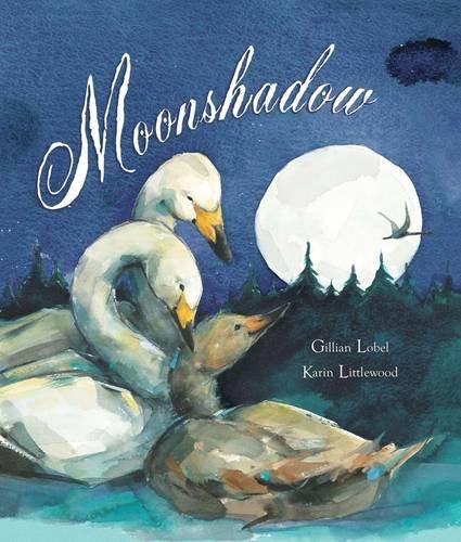 Moonshadow