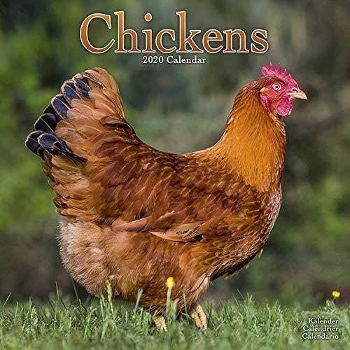 Chickens Calendar 2020