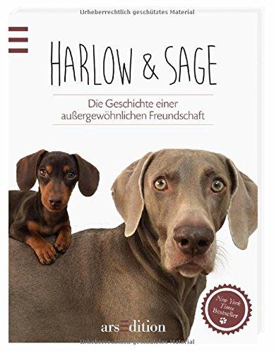 Harlow & Sage: Die Geschichte einer außergewöhnlichen Freundschaft