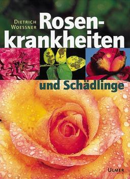 Rosenkrankheiten und Schädlinge