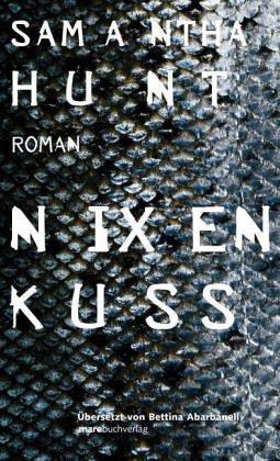 Nixenkuss: Roman