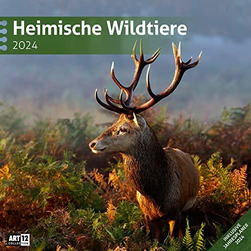 Heimische Wildtiere 2024, Wandkalender / Broschürenkalender im Hochformat (aufgeklappt 30x60 cm) - Geschenk-Kalender mit Monatskalendarium zum Eintragen