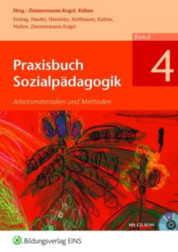 Praxisbuch Sozialpädagogik: Band 4