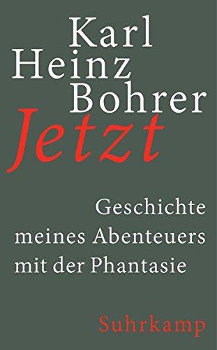 Jetzt: Geschichte meines Abenteuers mit der Phantasie (suhrkamp taschenbuch)