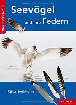 Seevögel und ihre Federn