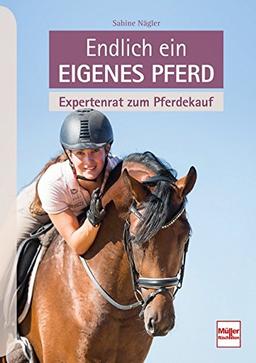 Endlich ein eigenes Pferd: Expertenrat zum Pferdekauf