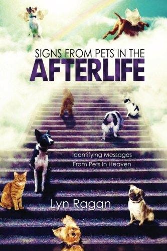 Signs From Pets In The Afterlife: Identifying Messages From Pets In Heaven