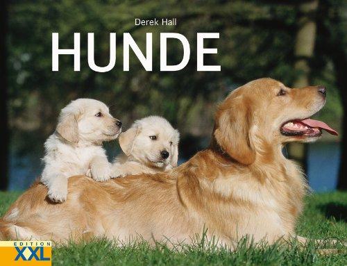 Hunde