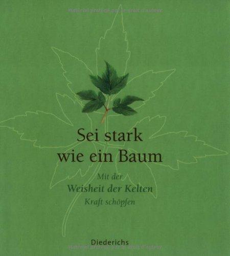 Sei stark wie ein Baum. Mit der Weisheit der Kelten Kraft schöpfen