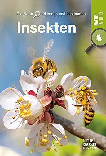 Insekten: Die Natur erkennen und bestimmen - Natur im Blick