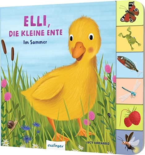 Elli, die kleine Ente: Im Sommer | Jahreszeiten-Pappebuch mit Griff-Register