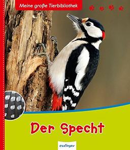 Der Specht (Meine große Tierbibliothek, Band 23331)