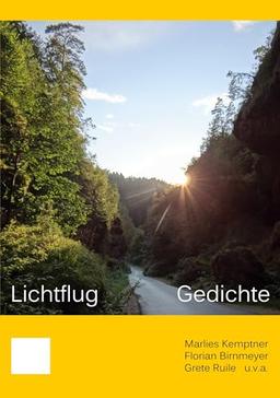 Lichtflug: Gedichte