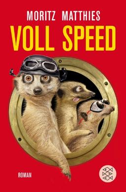 Voll Speed: Roman